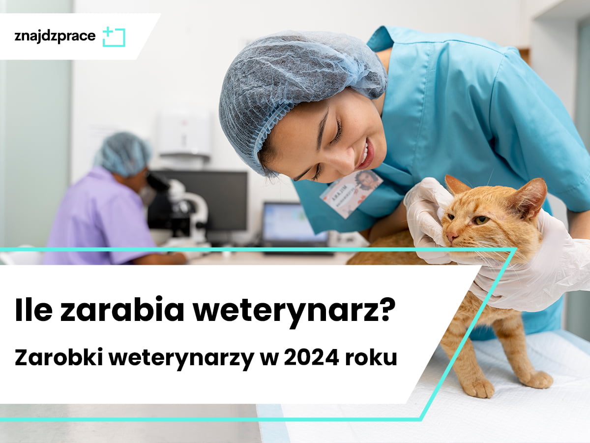 Ile Zarabia Weterynarz Zarobki Weterynarzy W Roku Znajdzprace