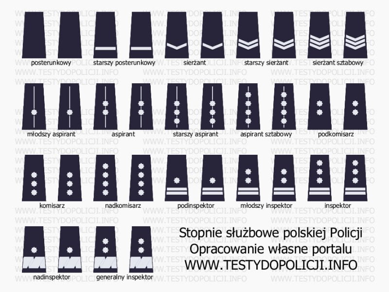 Ile zarabia policjant? Jakie są stopnie w policji?